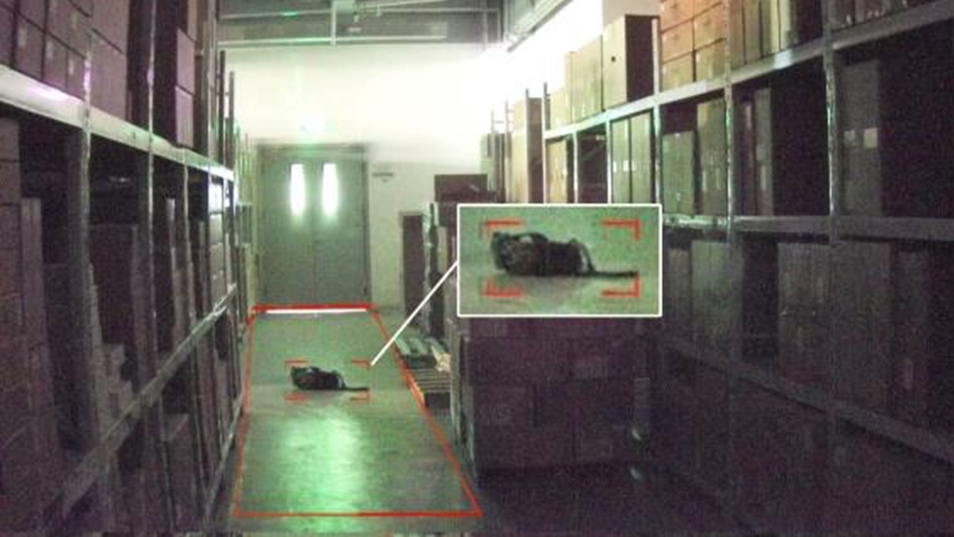 AG�콢��(�й���)���Źٷ�-AsiaGaming!