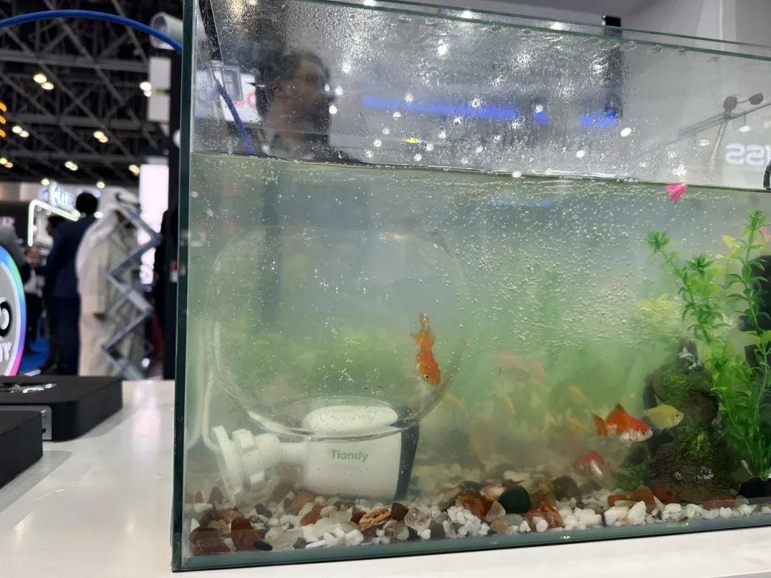 AG�콢��(�й���)���Źٷ�-AsiaGaming!