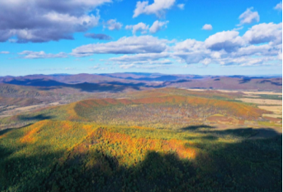 AG�콢��(�й���)���Źٷ�-AsiaGaming!