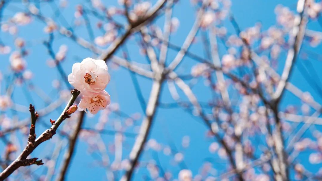 AG�콢��(�й���)���Źٷ�-AsiaGaming!