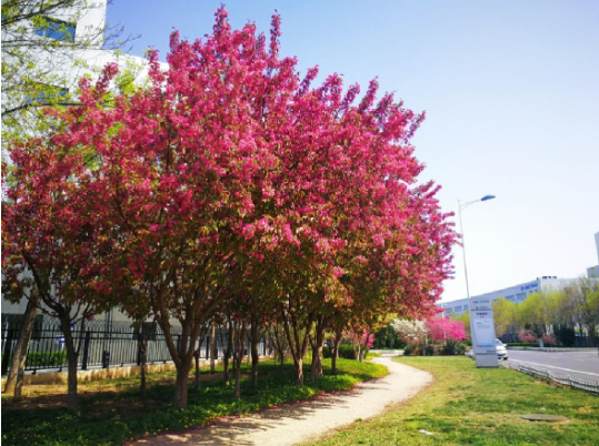 AG�콢��(�й���)���Źٷ�-AsiaGaming!