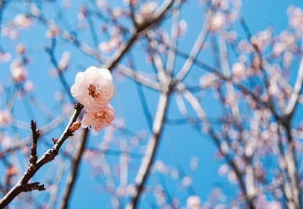 AG�콢��(�й���)���Źٷ�-AsiaGaming!